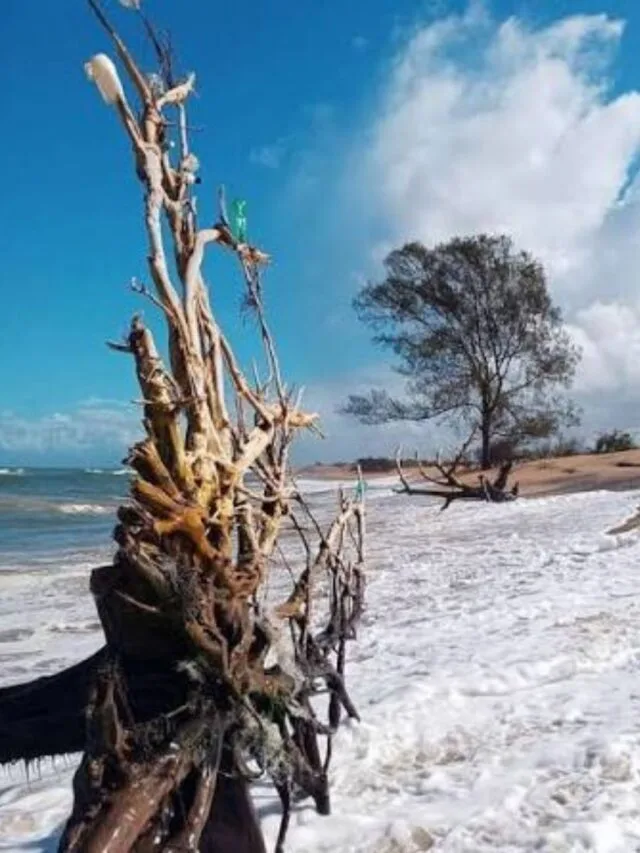 5 Praias Mais Curiosas do Espírito Santo Para Conhecer